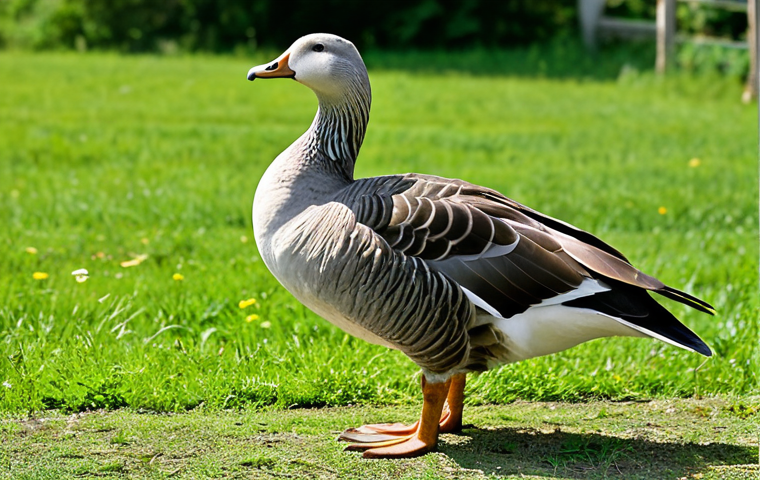 A majestic, heavy Toulouse goose (Anser anser domesticus) with prominent dewlaps (bajoue) and a well-defined double ventral pouch, standing proudly in a lush green pasture under a soft, natural light. The goose has a rich grey-brown plumage, a sturdy build, and a calm, watchful demeanor. In the background, a traditional French farm, with rustic stone walls and a weathered wooden fence, emphasizes the authentic, rural atmosphere and the robust beauty of the bird. This image is safe for work, appropriate content, family-friendly, with natural plumage, healthy animal, perfect anatomy, correct proportions, natural pose, well-formed wings, proper leg structure, professional photography, high detail, sharp focus, and natural colors.